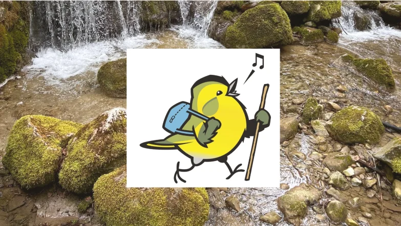 Bach und Vogel mit Wanderstock