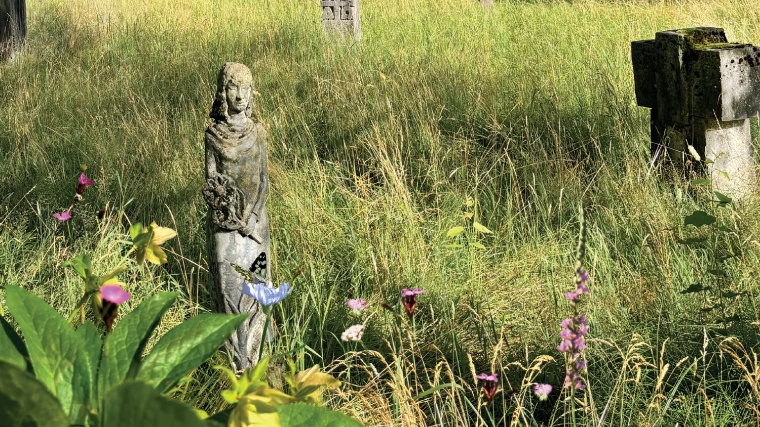 Grabmale im Gras