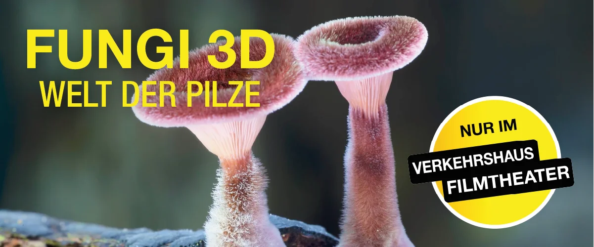 Banner Fungi 3D