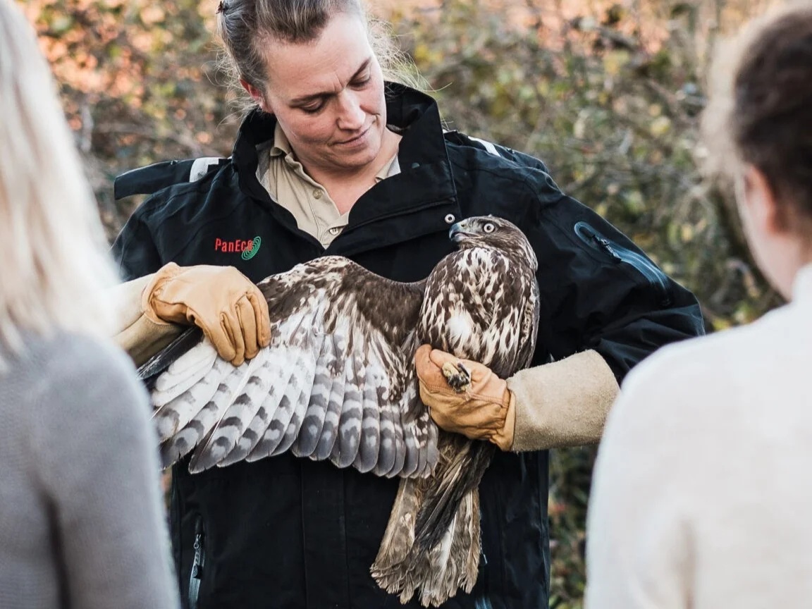 Greifvogelstation Berg am Irchel
