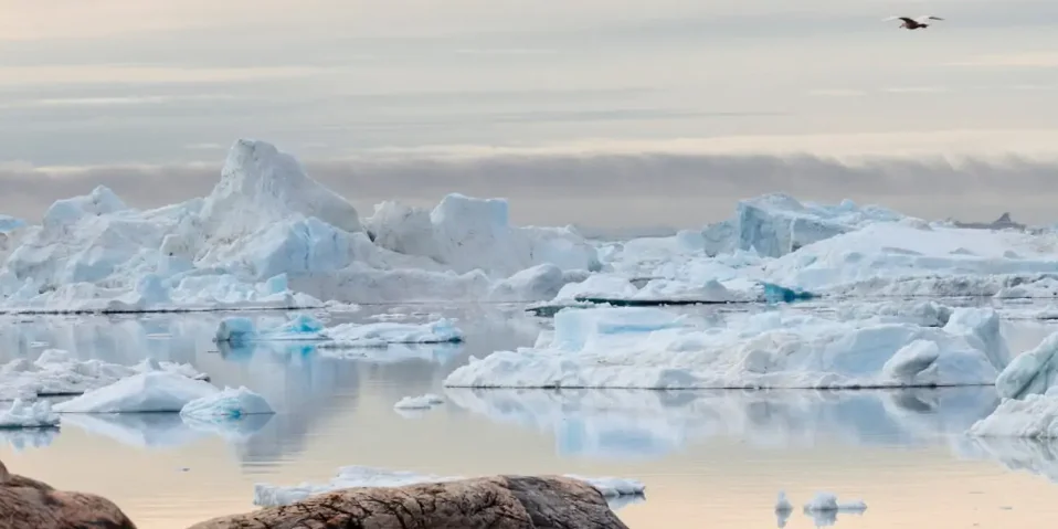 Eisblöcke auf dem Meer
