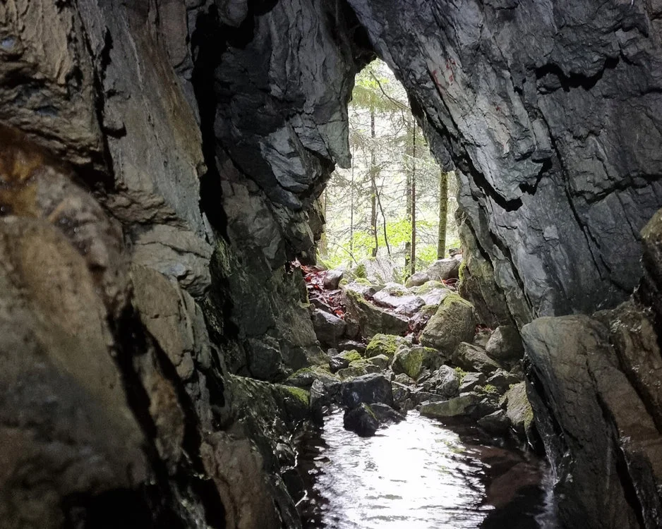 VORTRAG Geheimnisvolles Leben Höhle