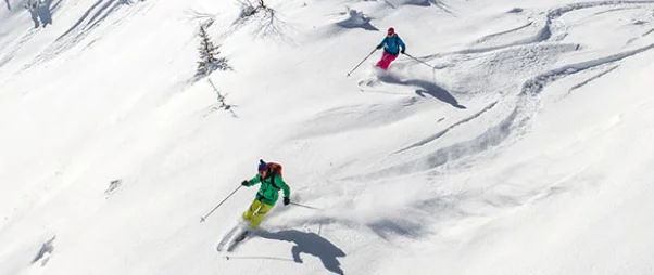 zwei Skifahrer in den Bergen