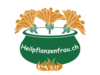 Logo Heilpflanzenfrau